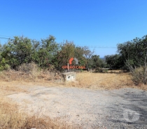 Terrenos Faro - Fotos para Terreno com ruína para recuperar Loulé